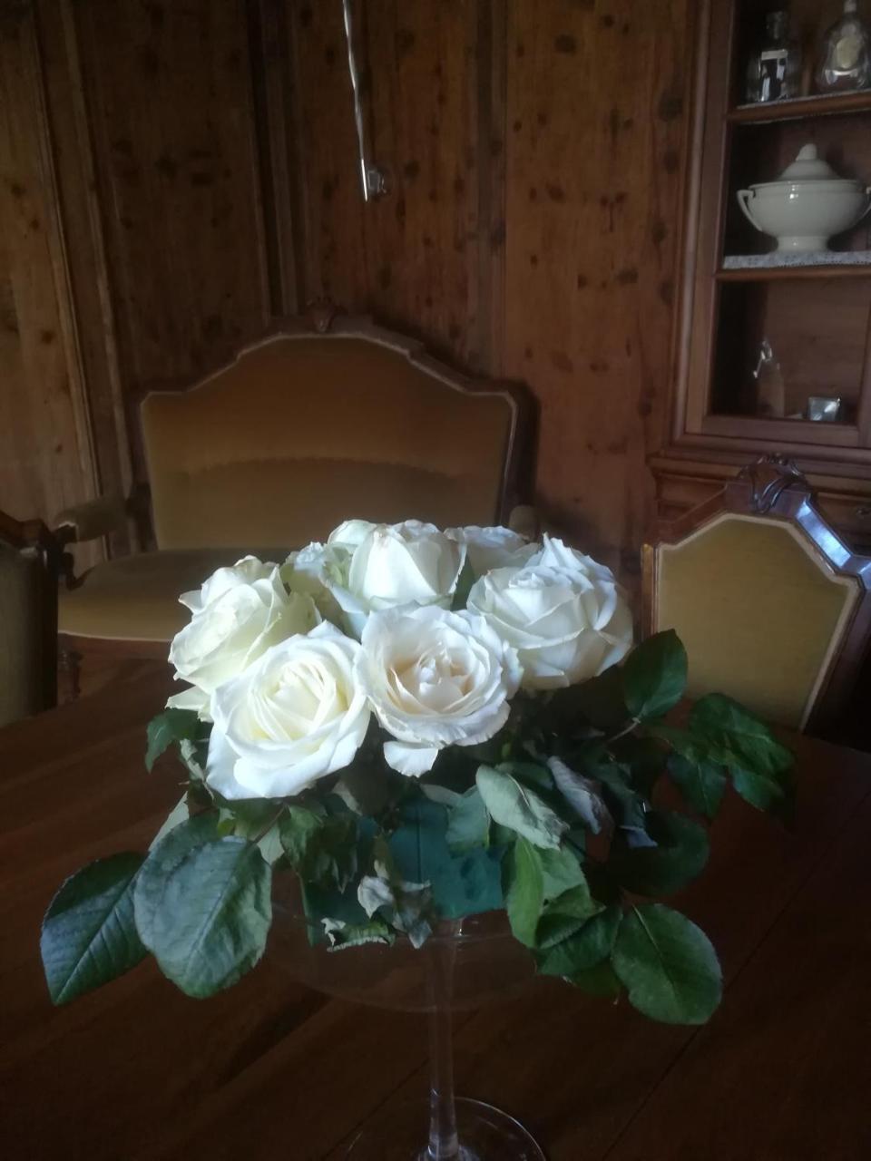 Hotel Albrici 3*