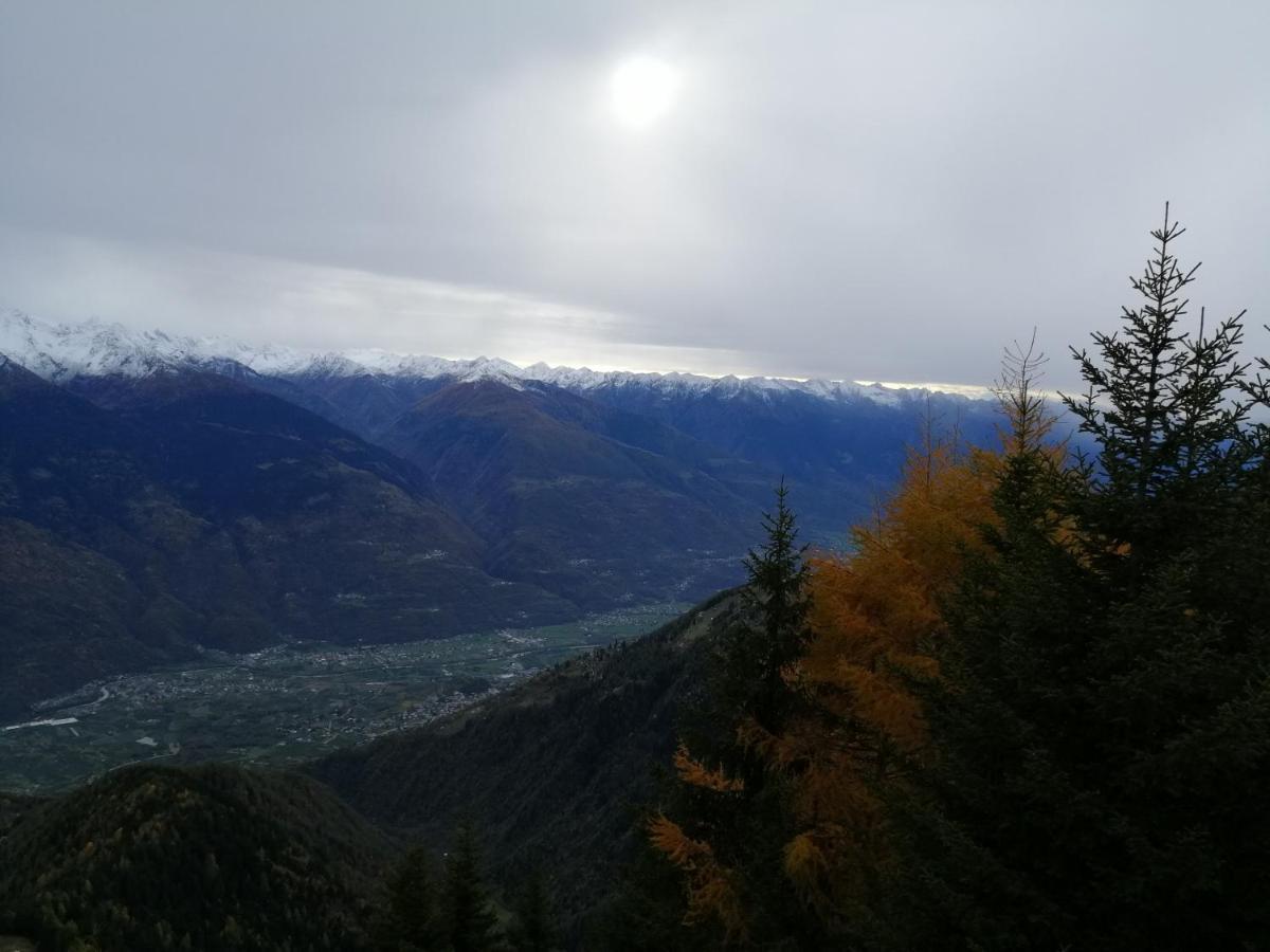 Albrici Hotel 3*