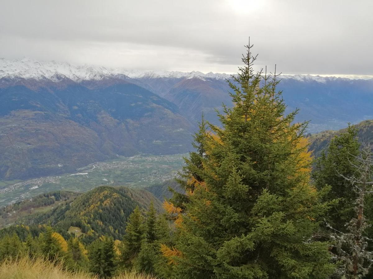 Albrici San Bernardo (Sondrio)